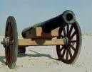 Cannon