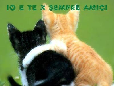 Amici x Sempre