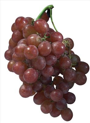 grape