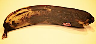 A rotten banana