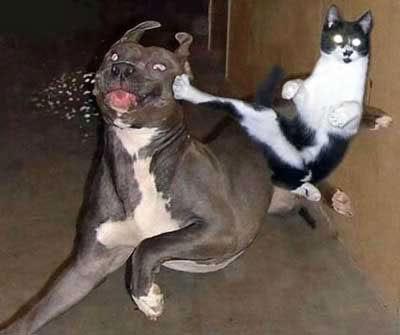 A kick
