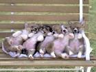 We'll always stick together..