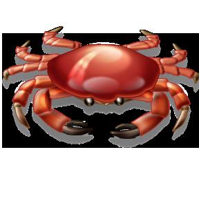 Crabs