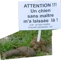 rien du tout mais pour le geste tu offre quel que chose 