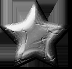 silver star