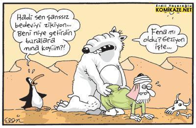 şanssız