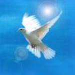 Peace