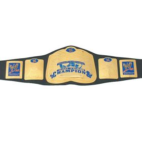Smackdown Tag team Champ