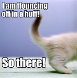 A little flounce