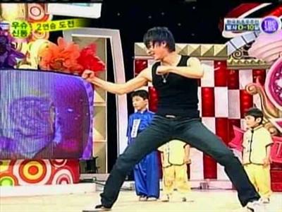 Wushu Geng