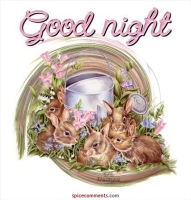 Good Night