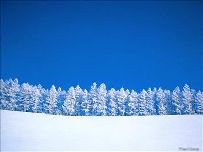 winter