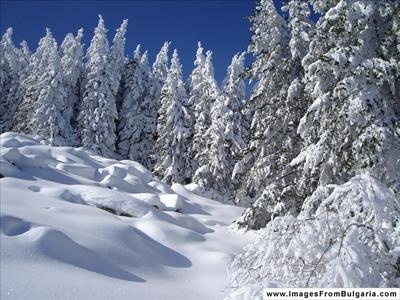 winter