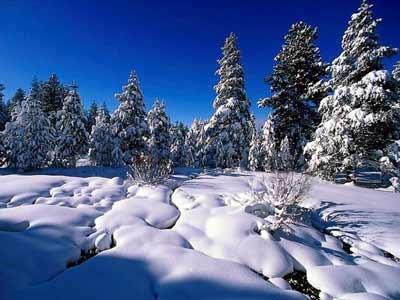 winter