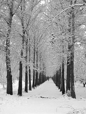 WINTER