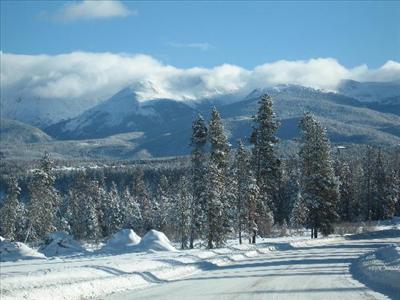 winter