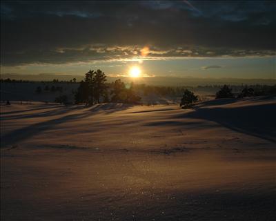 WINTER