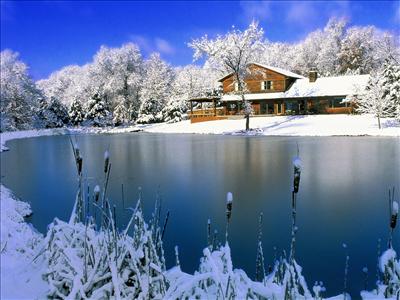 winter