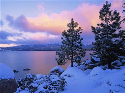 WINTER