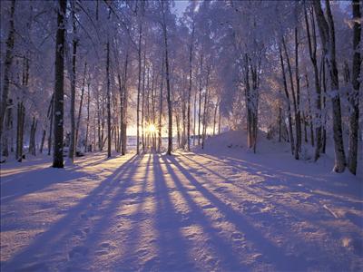 winter-alaska