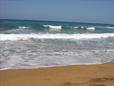 summer