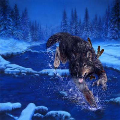 Skin Walker