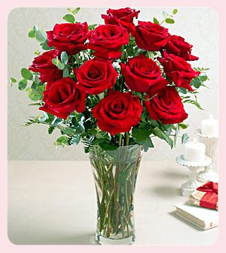 red Roses