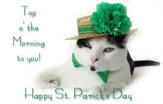 Happy St Partick's day cat