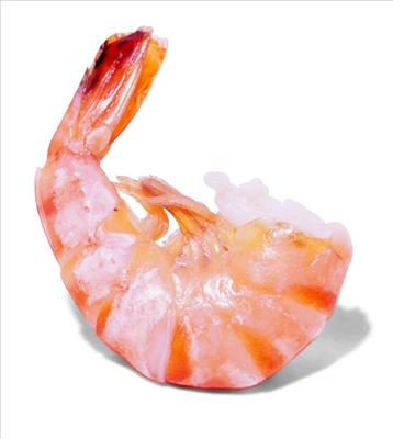 Shrimp muthafucka mothafucka