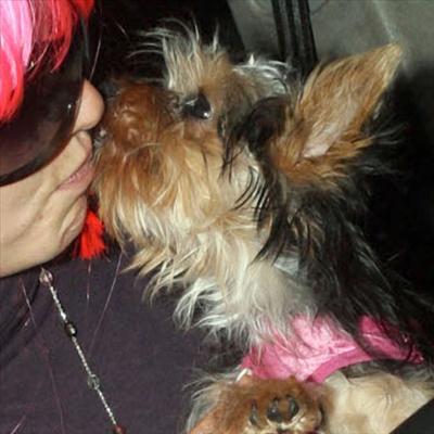 Whose canine kiss?