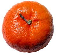 Mandarino