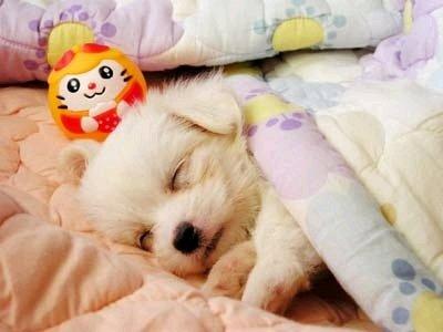 I love sleep
