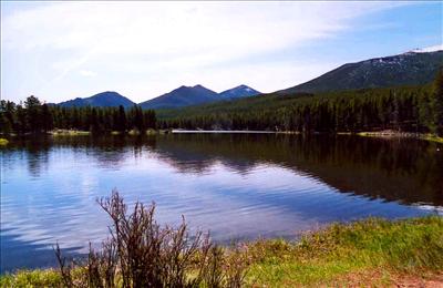 pond