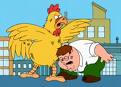 Chicken Fight