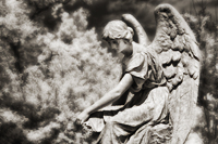 Angel