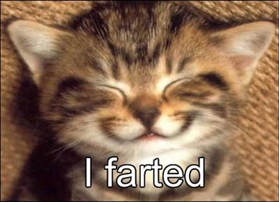 i farted