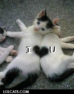 i <3 u