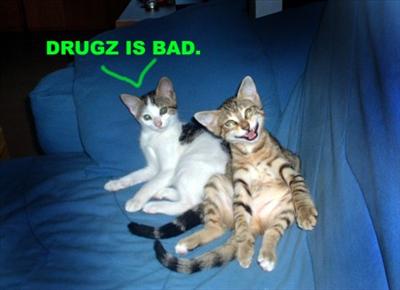 drugs BAD!!!