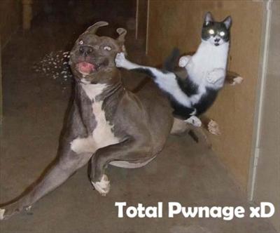 pwned