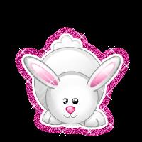conejo o rabbit