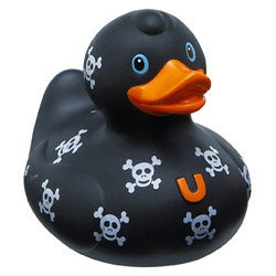 Pirate Duck