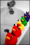 Devil Duck