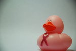Awareness Duck