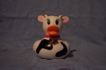 Cow Duck