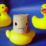Ugly Duck