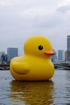 Giant Duck