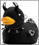 Punk Duck