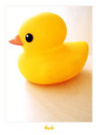 Cute Duck