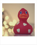 Love Duck