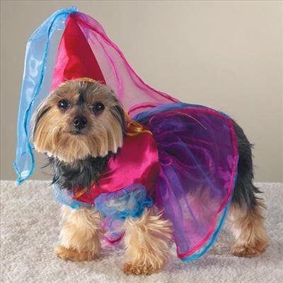 princess doggie